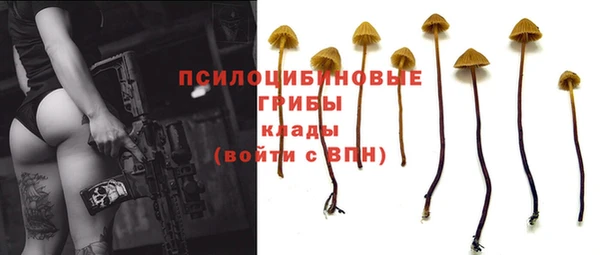 скорость Баксан