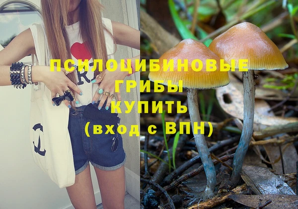 синтетический гашиш Армянск