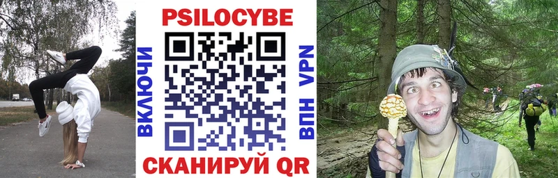 Галлюциногенные грибы Cubensis Олёкминск